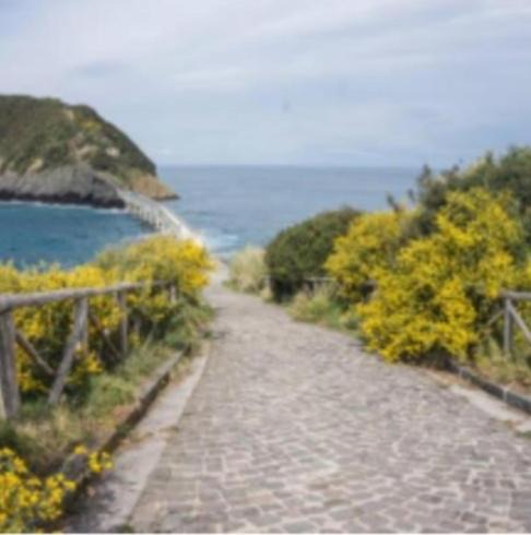 Photo of Others in Procida