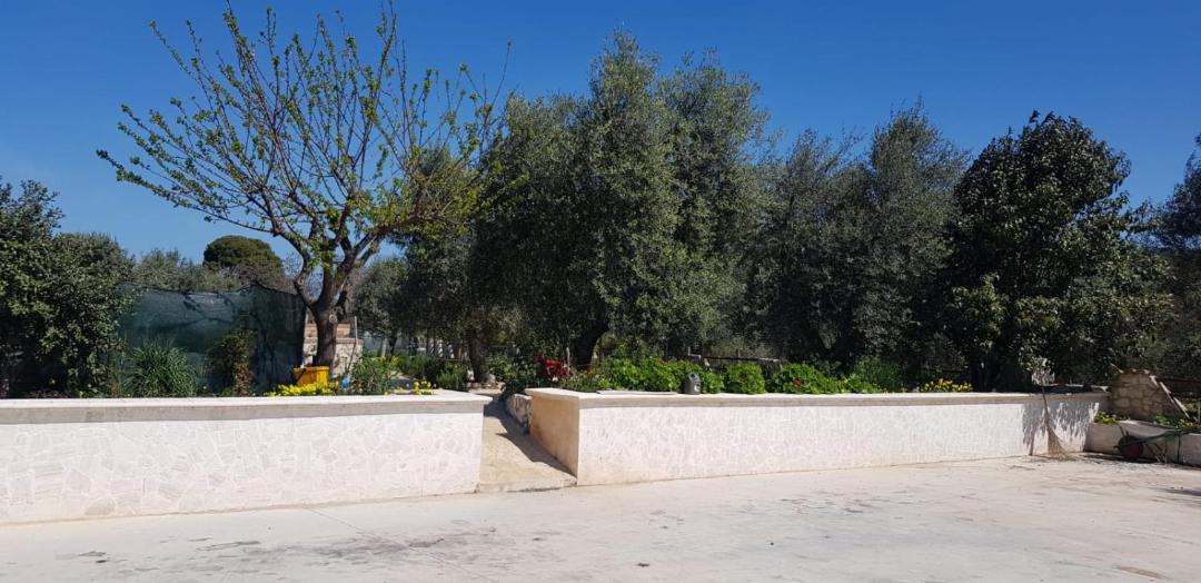 Photo of Others in Peschici