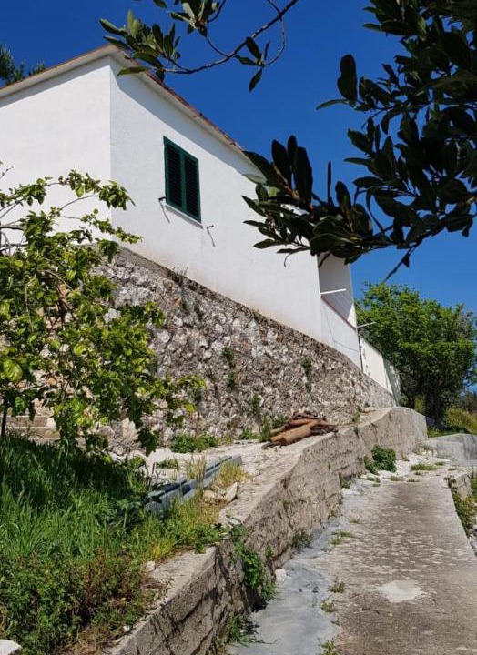 Photo of Others in Peschici