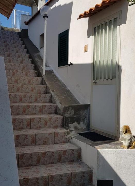 Photo of Others in Peschici