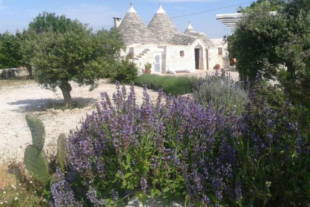 Photo of Others in Martina Franca