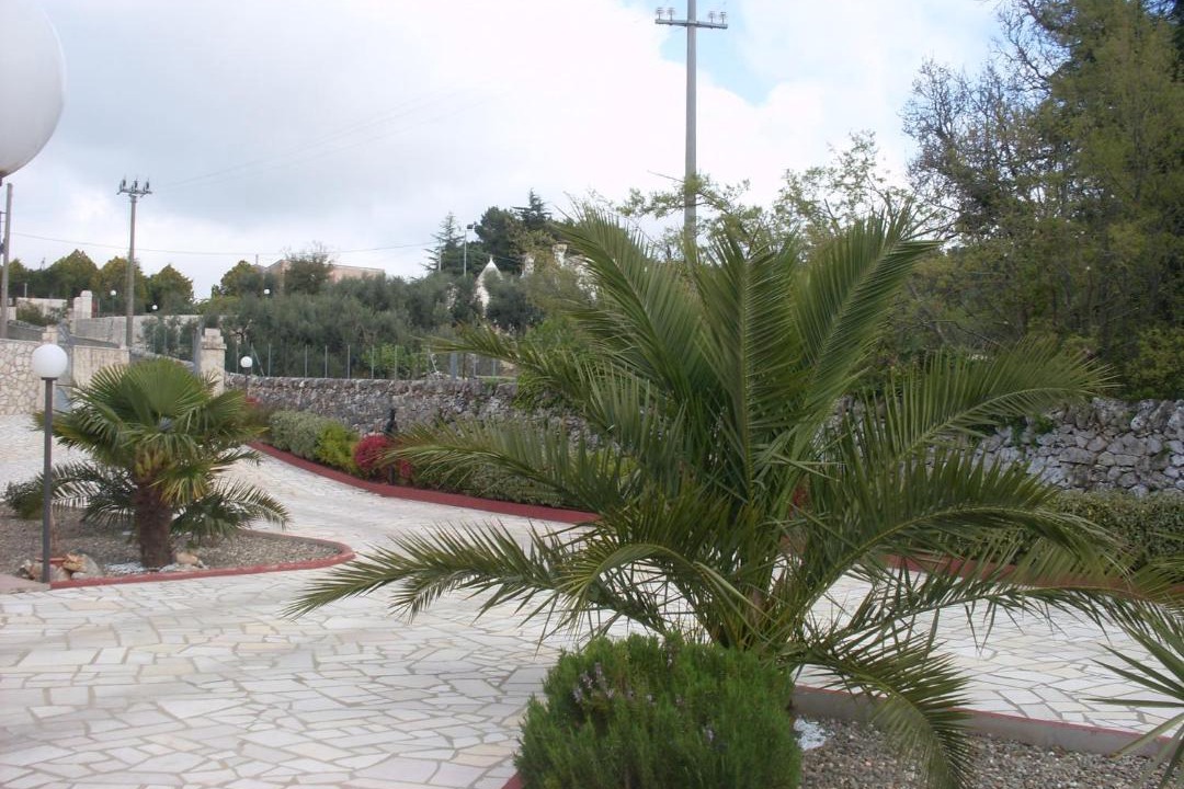 Photo of Others in Martina Franca