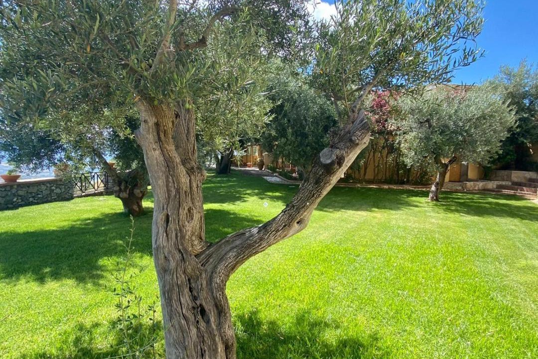 Photo of Others in Bisignano
