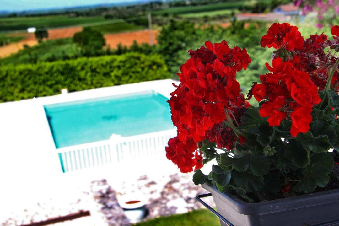 Photo of Others in Gravina in Puglia