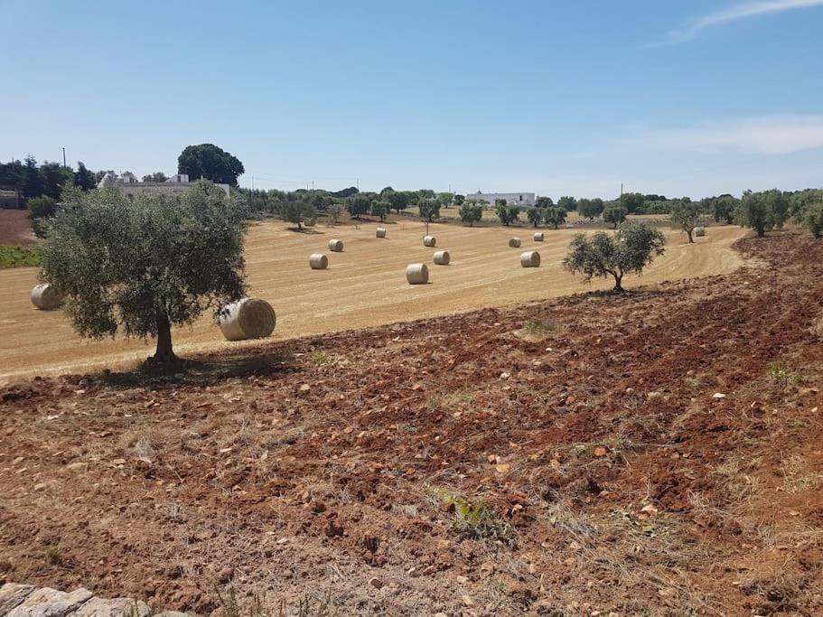 Photo of Outdoor in Cisternino