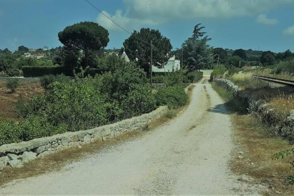 Photo of Outdoor in Cisternino