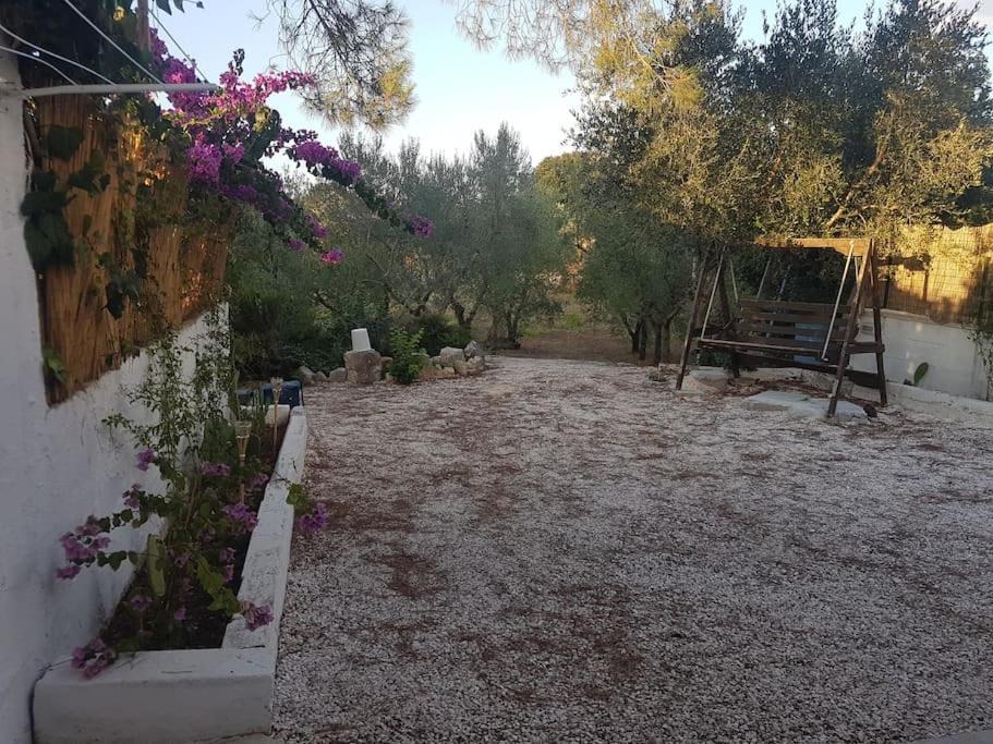 Photo of Others in Cisternino
