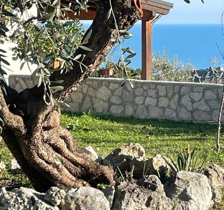 Photo of Others in Peschici