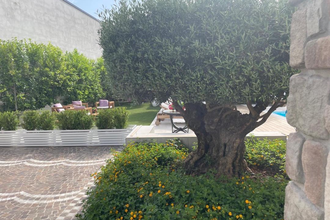 Photo of Others in Sant'Antonio Abate