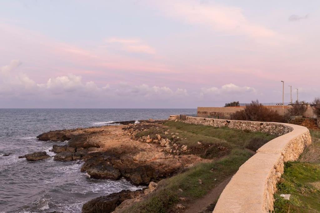 Photo of Others in Torre a Mare