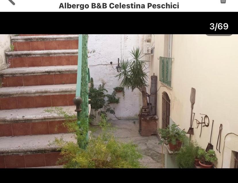 Photo of Others in Peschici