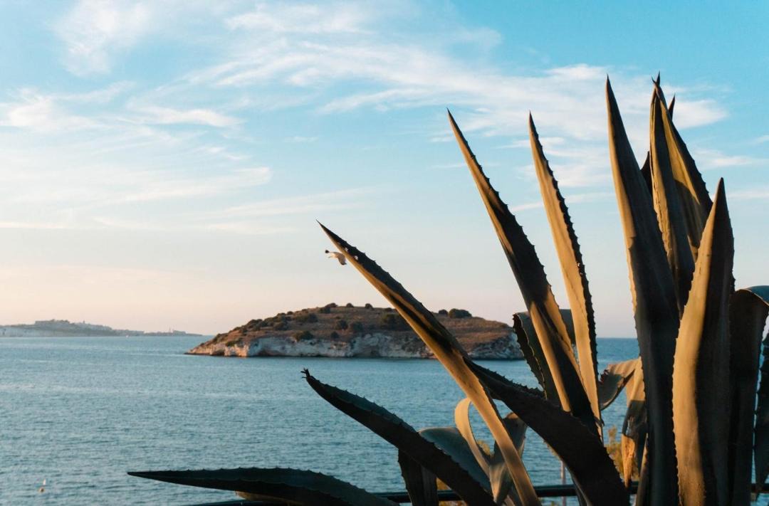 Photo of Others in Vieste
