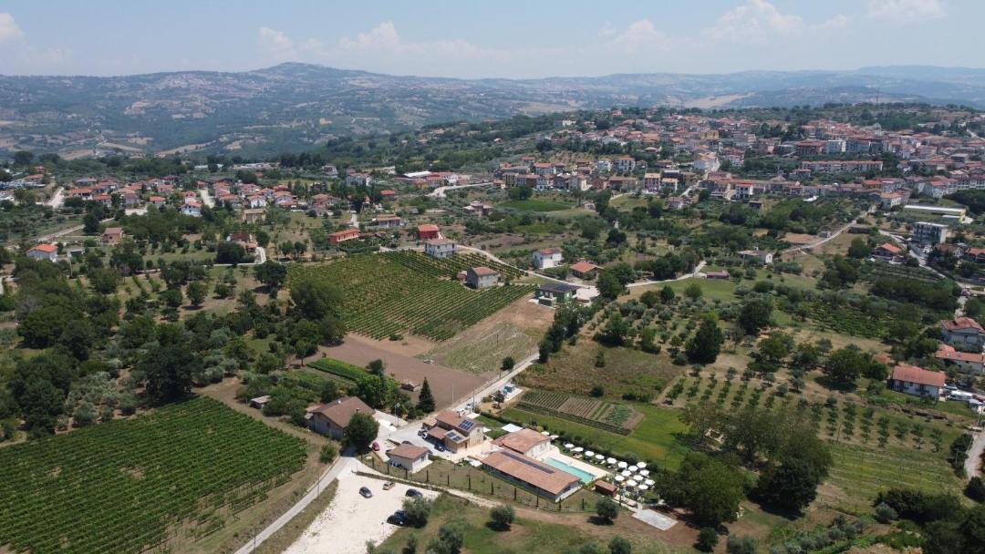 Photo of Others in Paternopoli