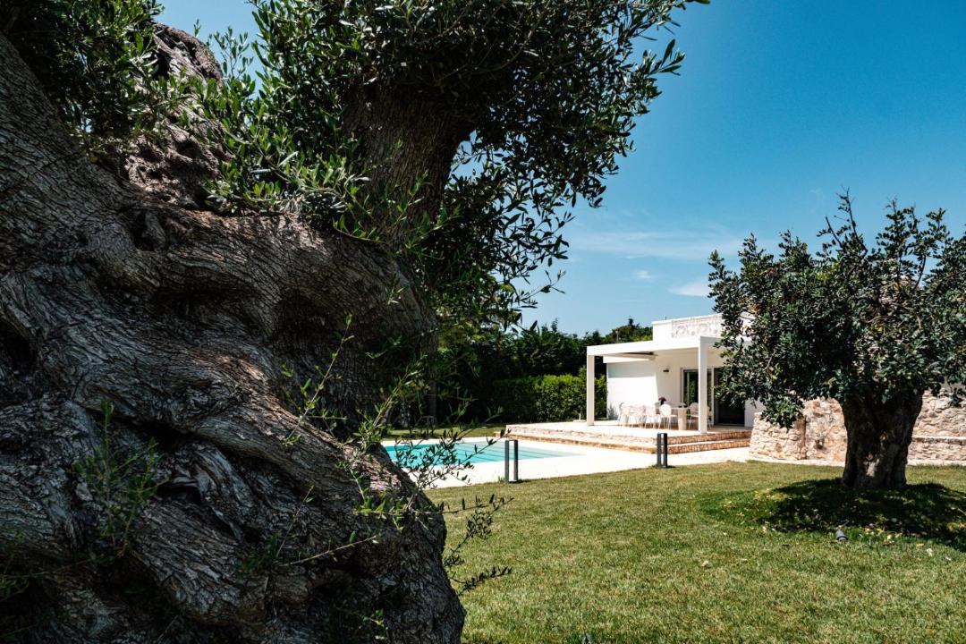 Photo of Others in Gioia del Colle