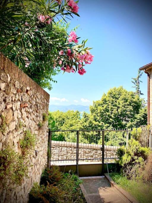 Photo of Others in Verucchio