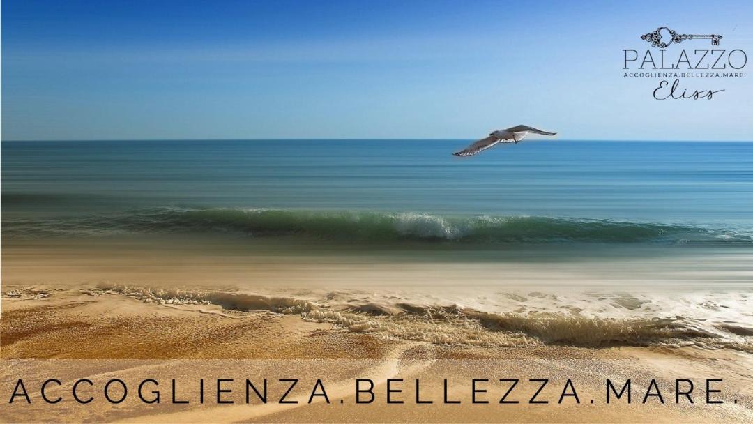 Photo of Others in Margherita di Savoia