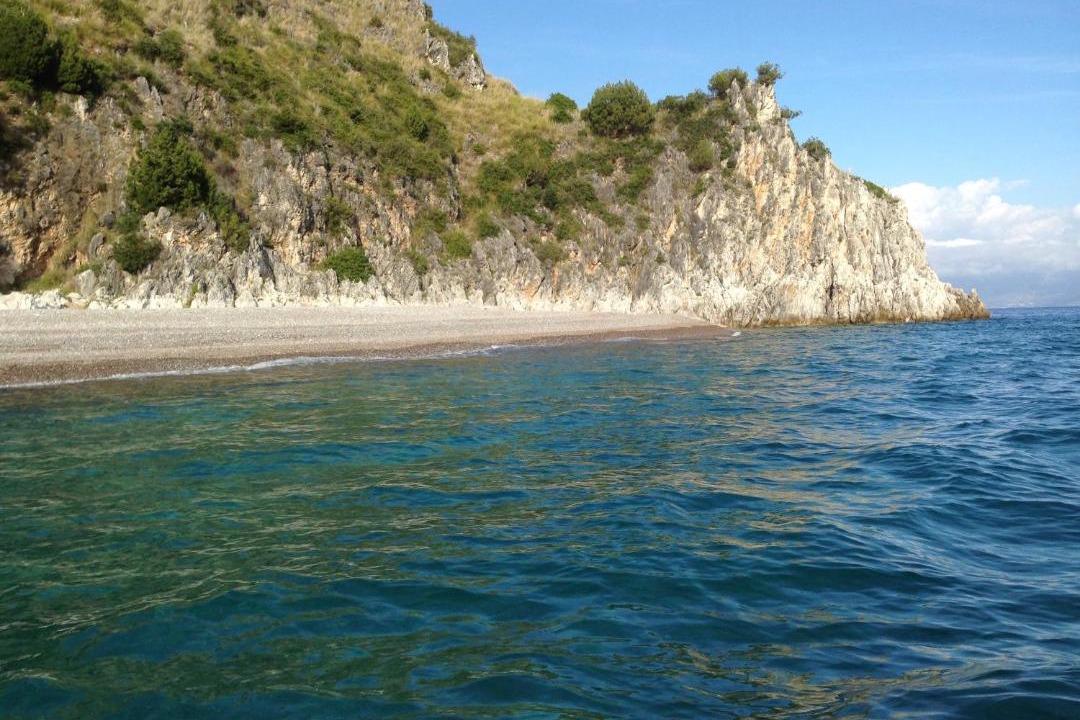 Photo of Others in Scario