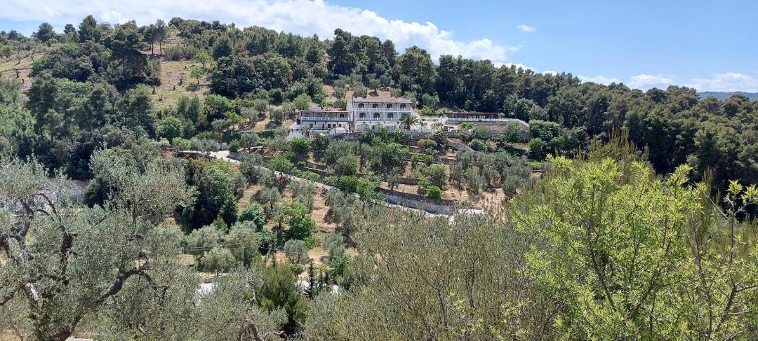 Photo of Others in Peschici