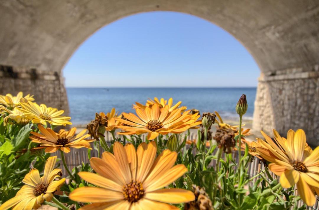 Photo of Others in Santa Maria di Leuca