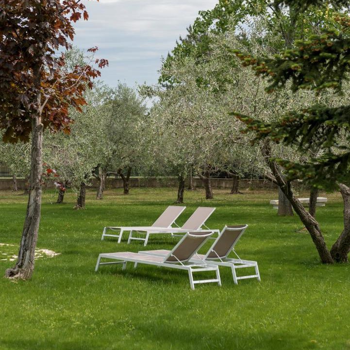 Photo of Others in San Giovanni In Marignano