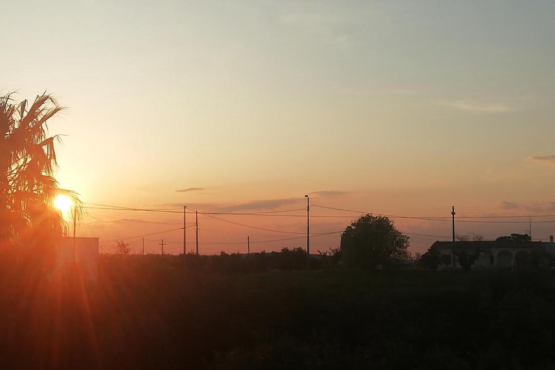 Photo of Others in Locorotondo