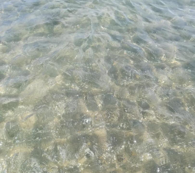 Photo of Others in Margherita di Savoia