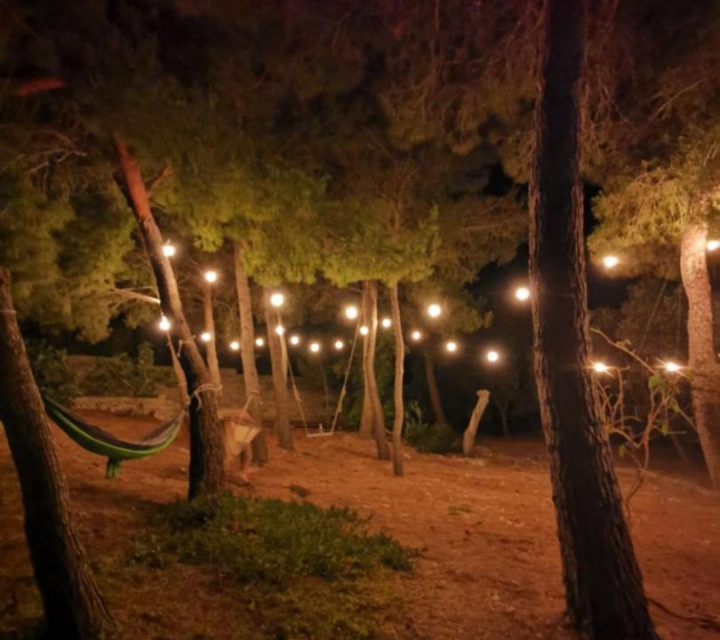 Photo of Others in Pizzo