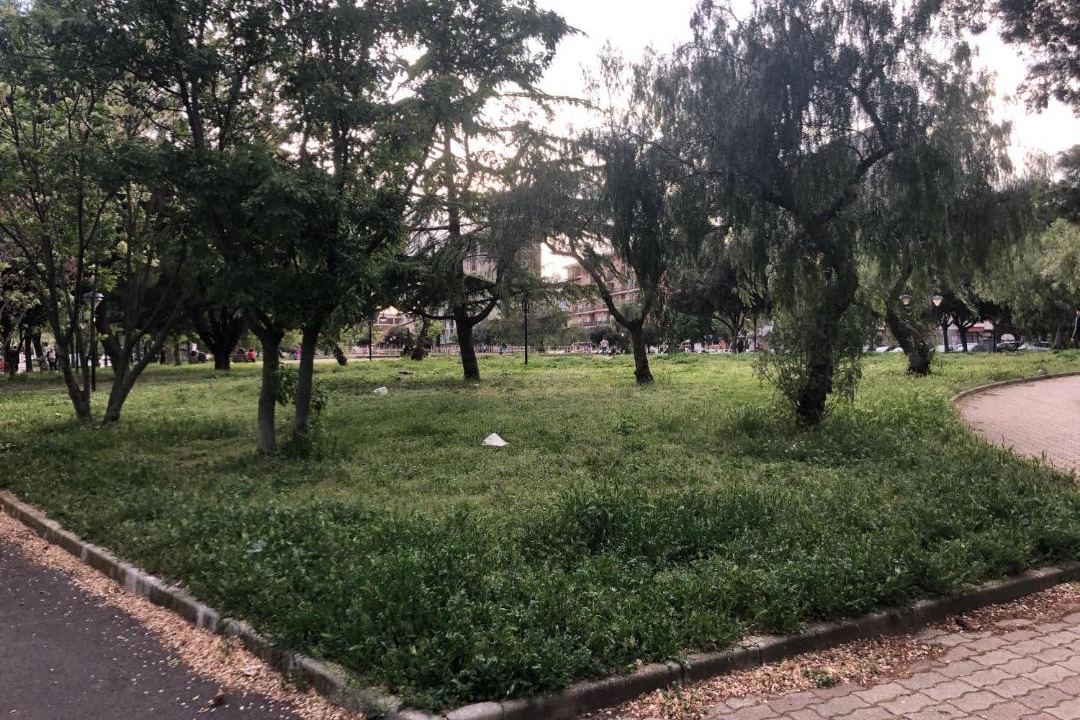 Photo of Others in Foggia
