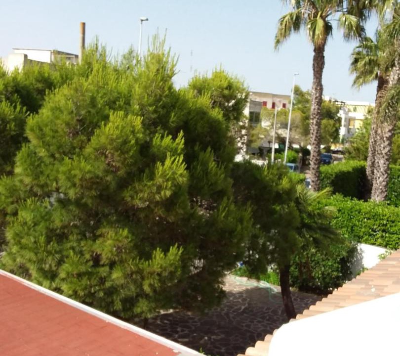 Photo of Others in Baia Verde