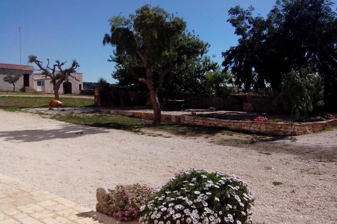 Photo of Others in Gioia del Colle