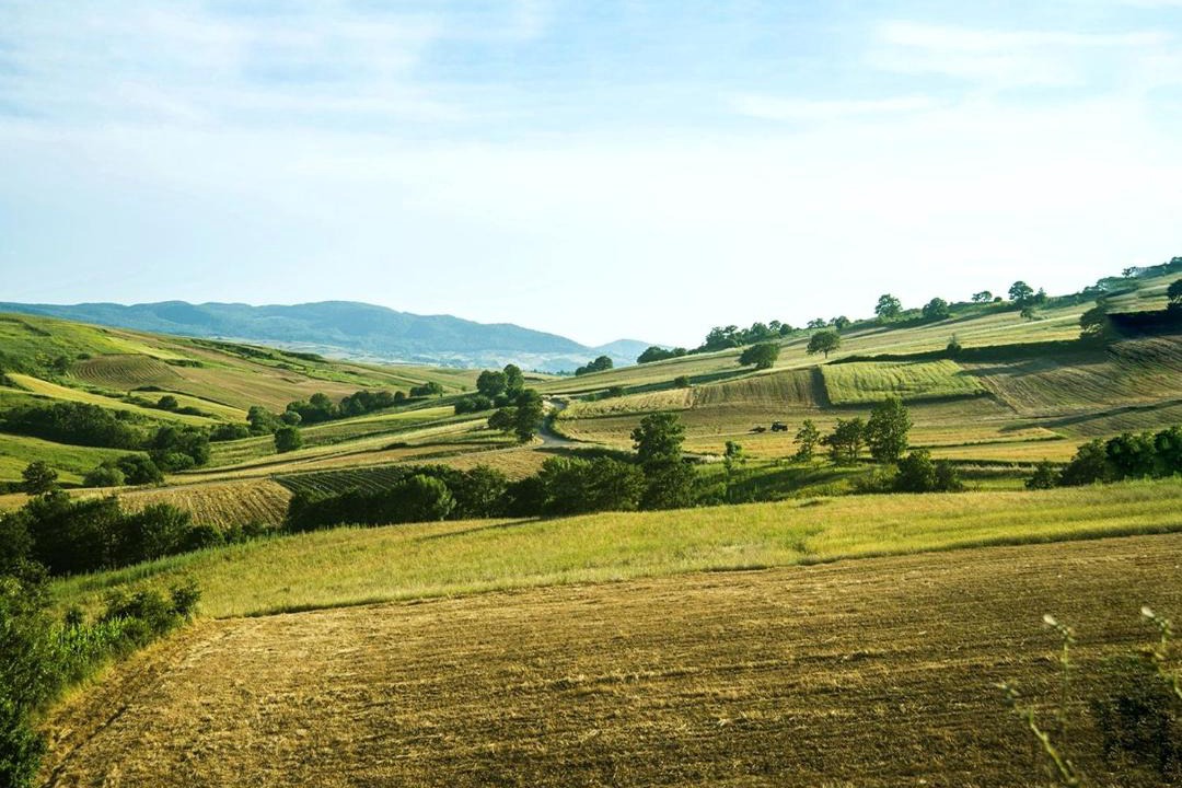 Photo of Others in Filiano