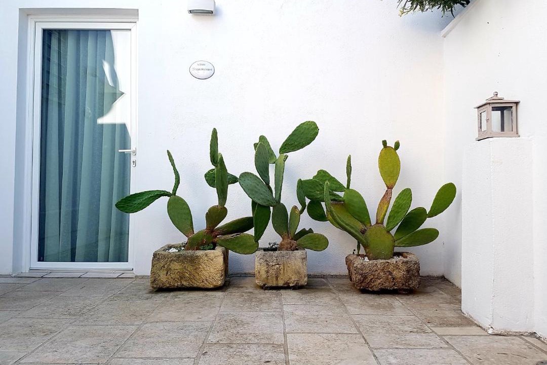 Photo of Others in Torre San Giovanni