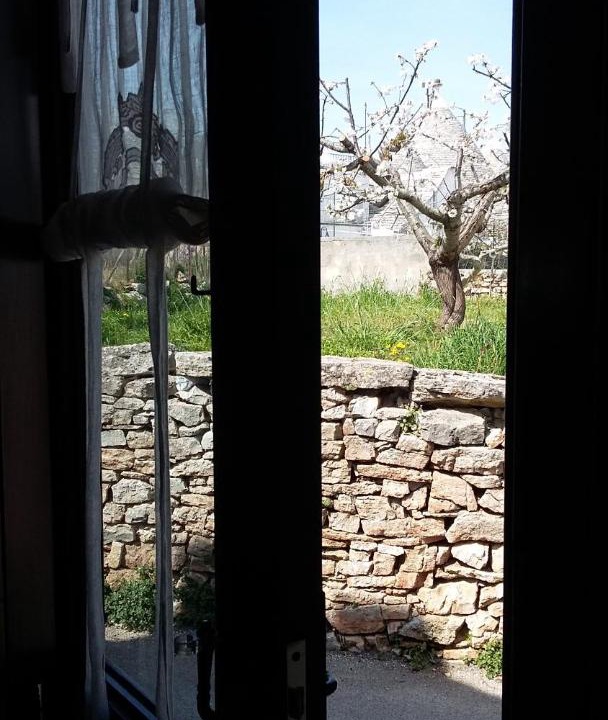 Photo of Others in The Trulli of Alberobello
