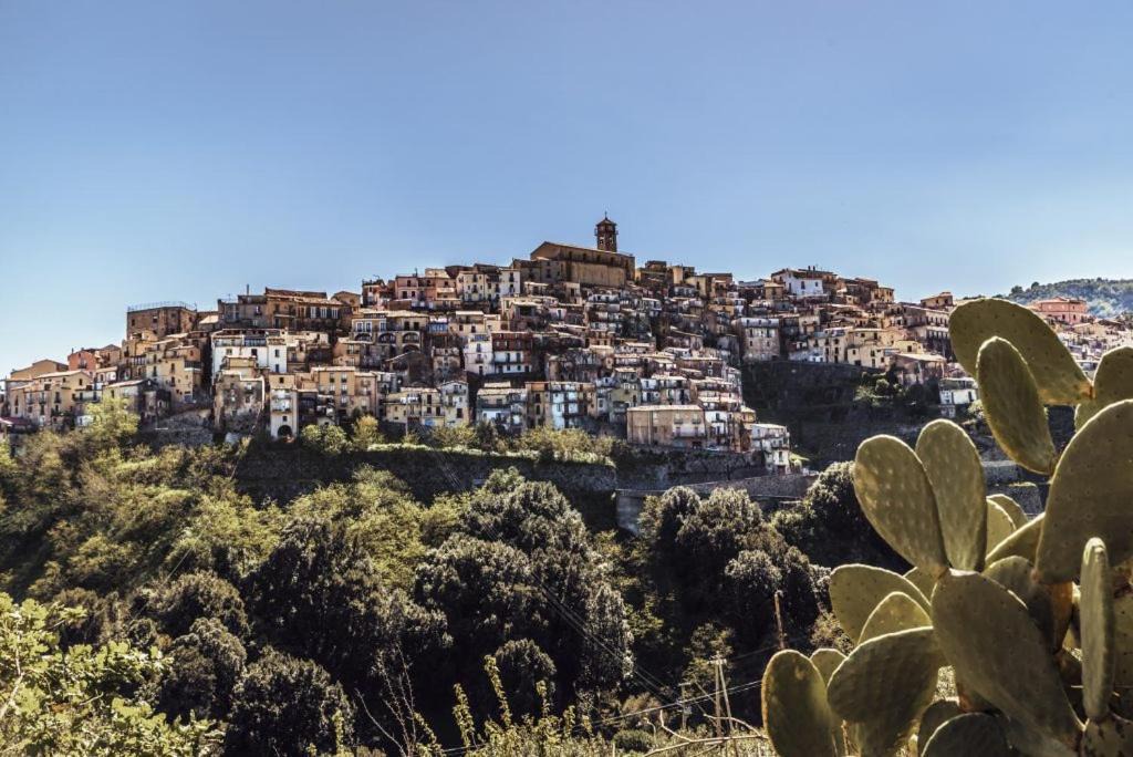Photo of Outdoor in Badolato