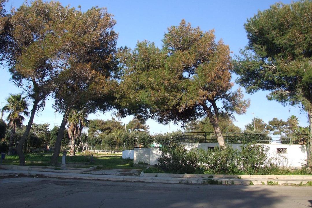 Photo of Others in Marina di Mancaversa