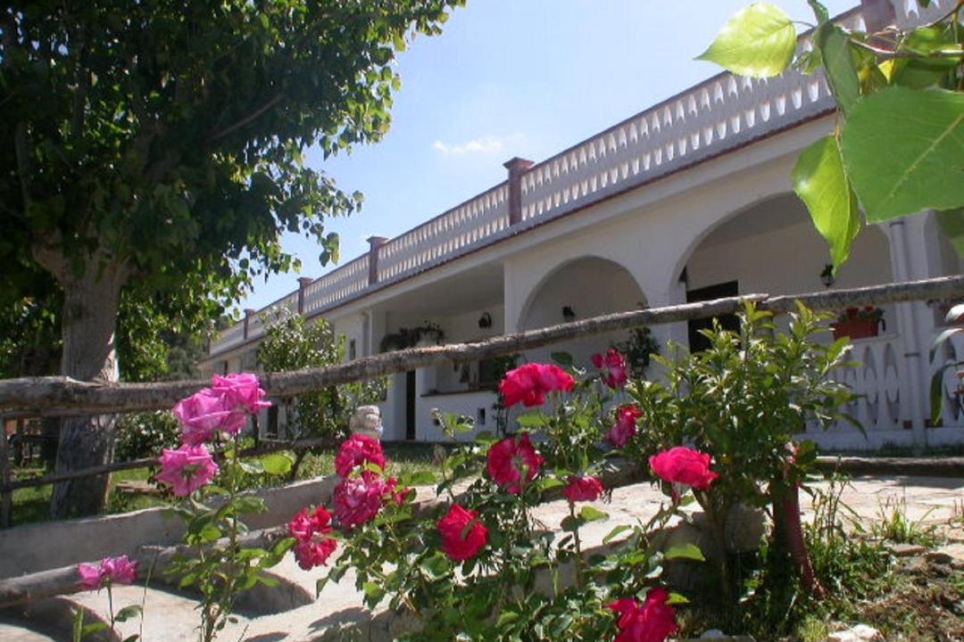 Photo of Others in Peschici