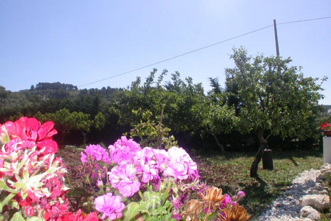 Photo of Others in Peschici