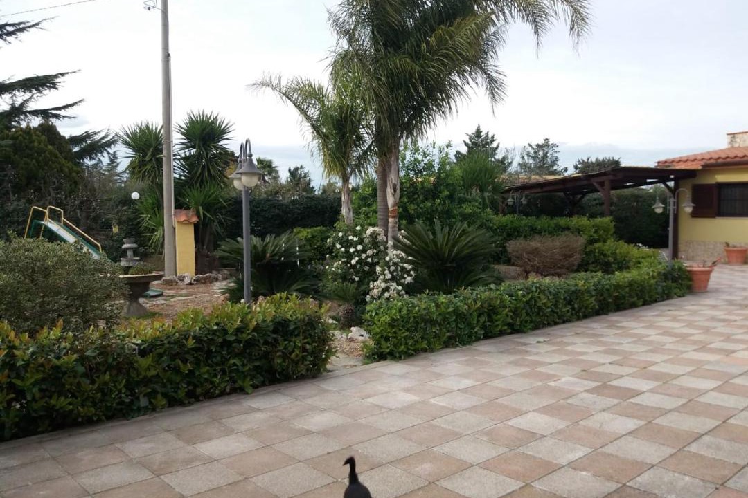 Photo of Others in Bisceglie