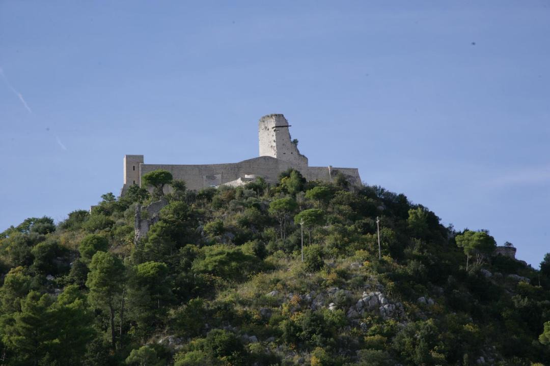 Photo of Others in Cassino