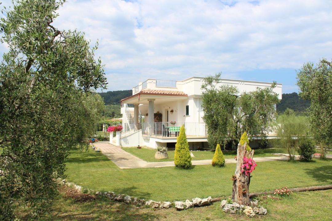 Photo of Others in Peschici