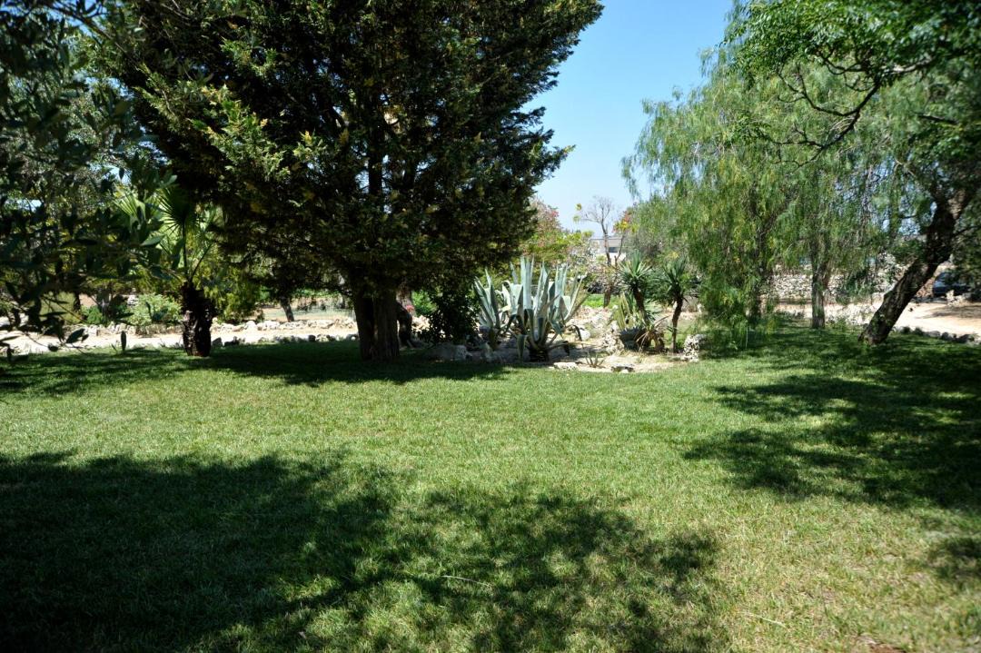 Photo of Others in Giurdignano