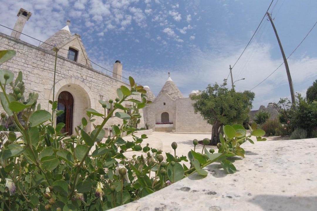 Photo of Others in Cisternino