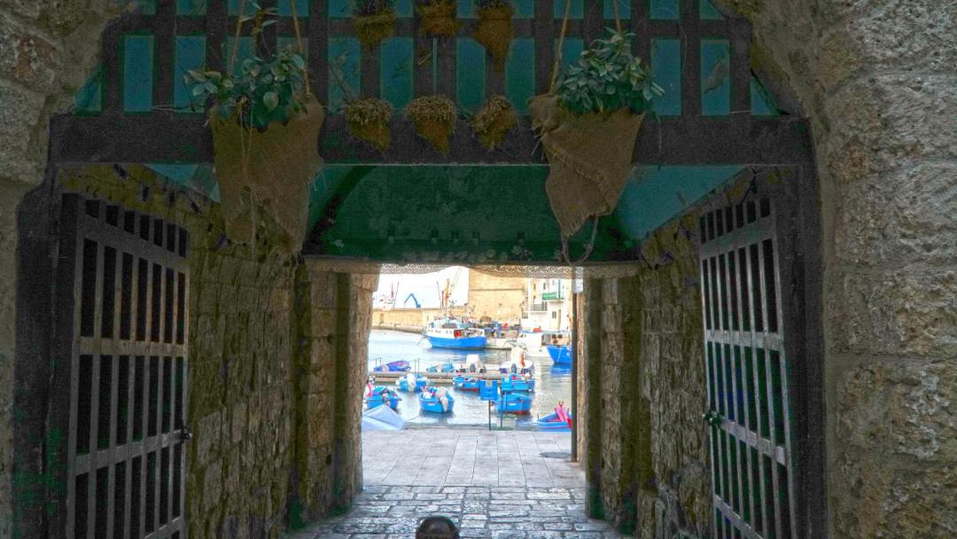 Photo of Others in Centro Storico