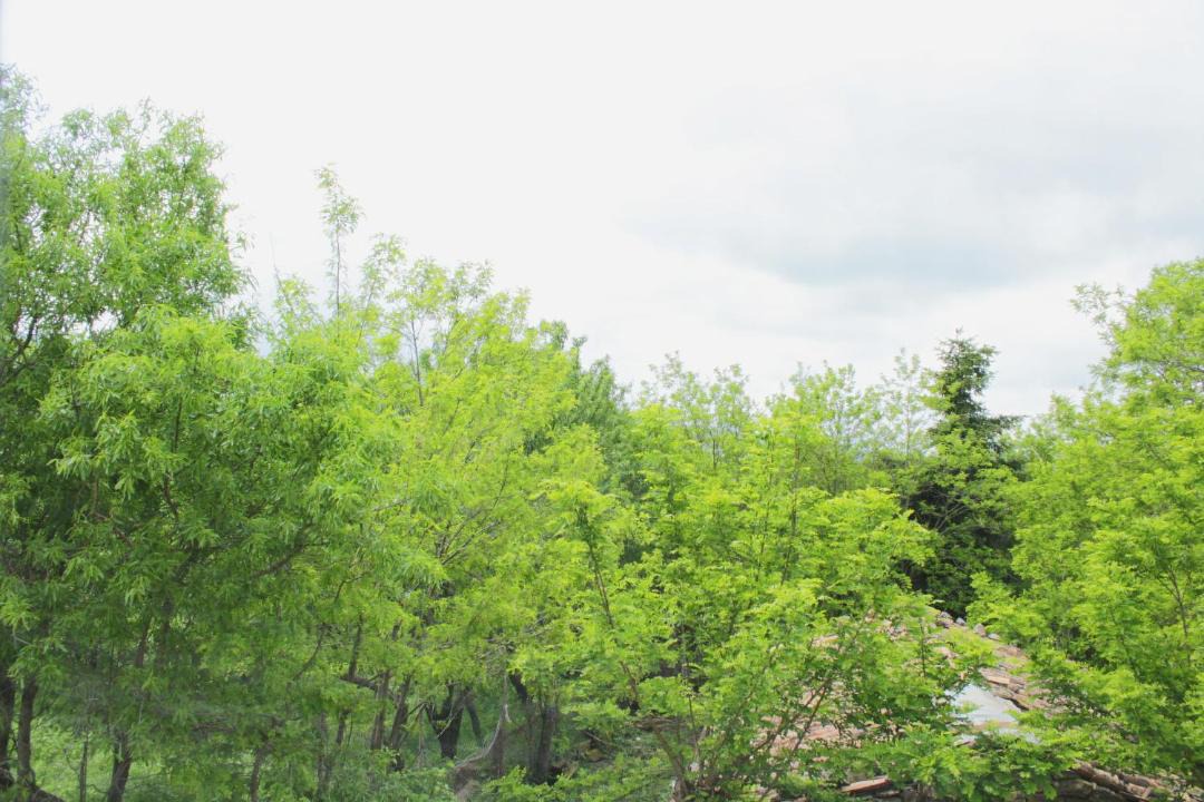 Photo of Others in Avigliano