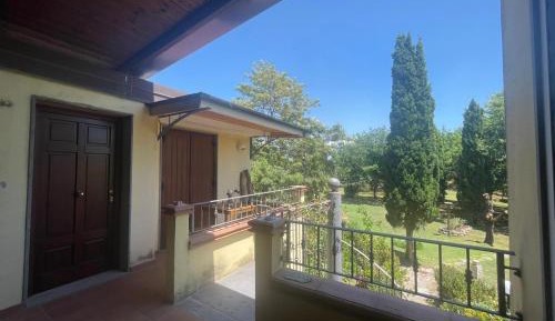 One-Bedroom Apartment with Park View