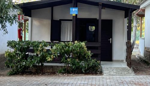 Bungalow (4 Adults)