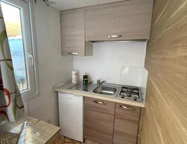 Mobile Home