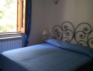 King Room with Garden View