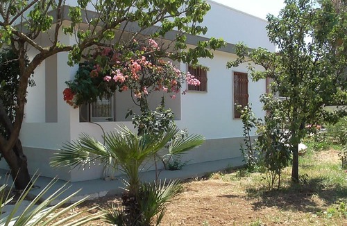 Matino House | Small villa with enclosed garden in Parabita
