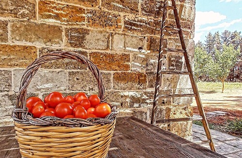 Galatina Bed & Breakfast | Masseria Fracchicchi